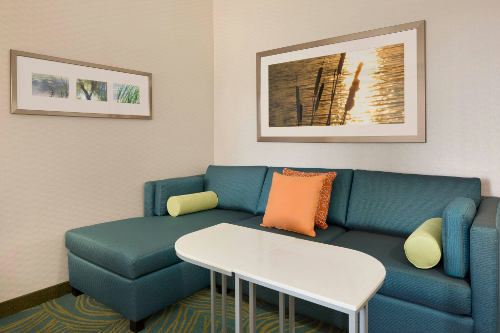 SpringHill Suites Tuscaloosa by Marriott - Général