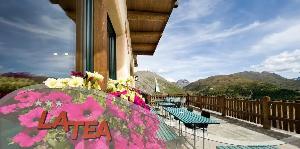 Balcony & Terrace