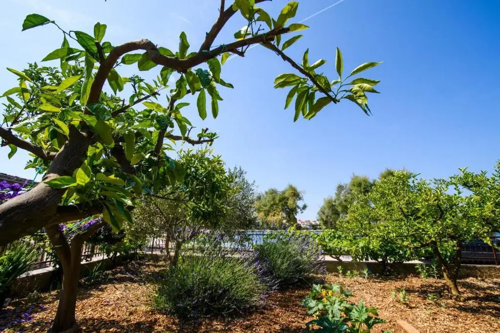 Отель Apartment Vinka i Mijo, фото 16