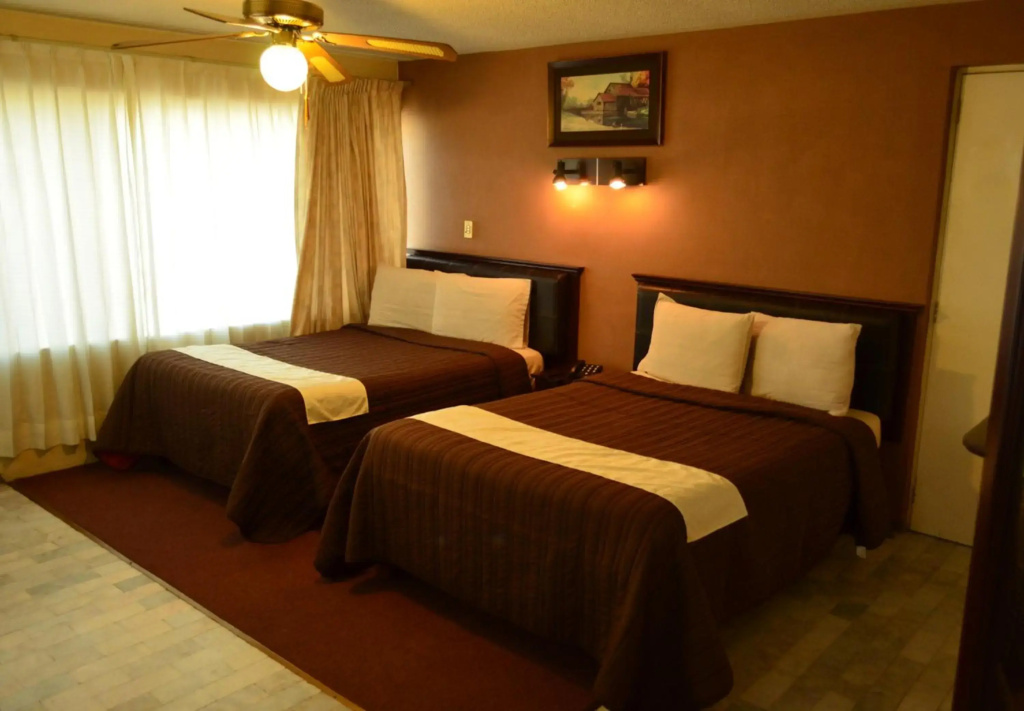 Hotel Flamingo Kristal - Général