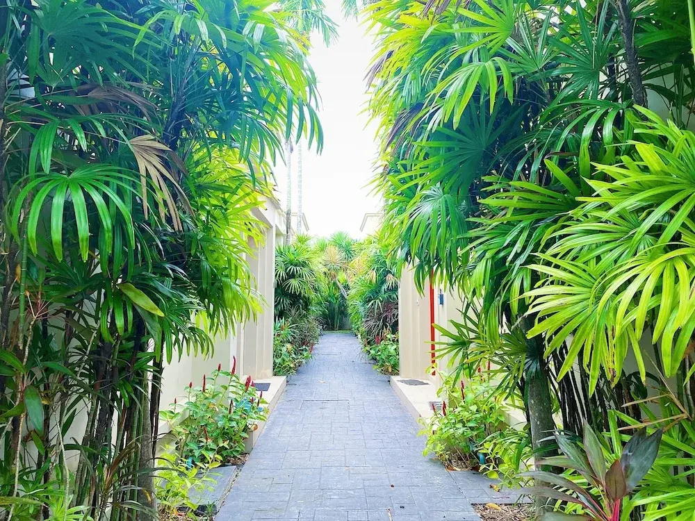 Beautiful 1br Plunge Pool Villa Walk To Bangtao Beach