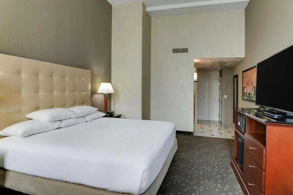 Drury Plaza Hotel New Orleans - Général