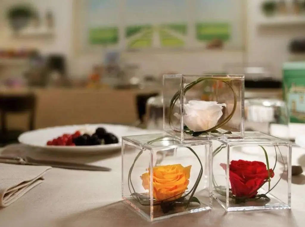 Graziella Patio Hotel - Général