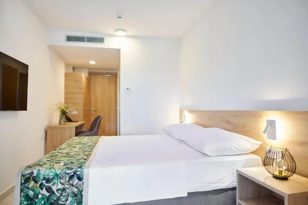 Standard with Terrace Double room (full double bed)