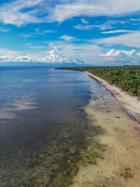 Beach & Waterfront