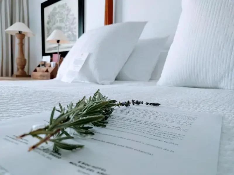 B bou Hotel Cortijo Bravo - Chambres