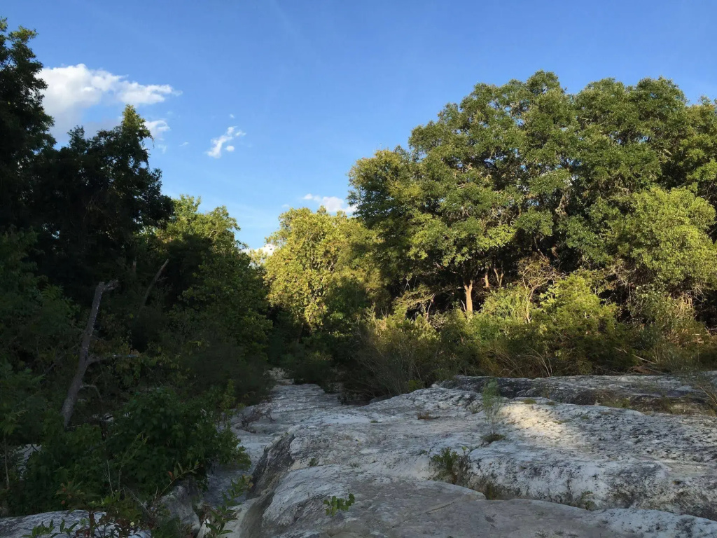Austin Eco Retreat - Général