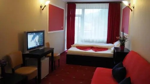 Pensiunea Clasic - фото 5