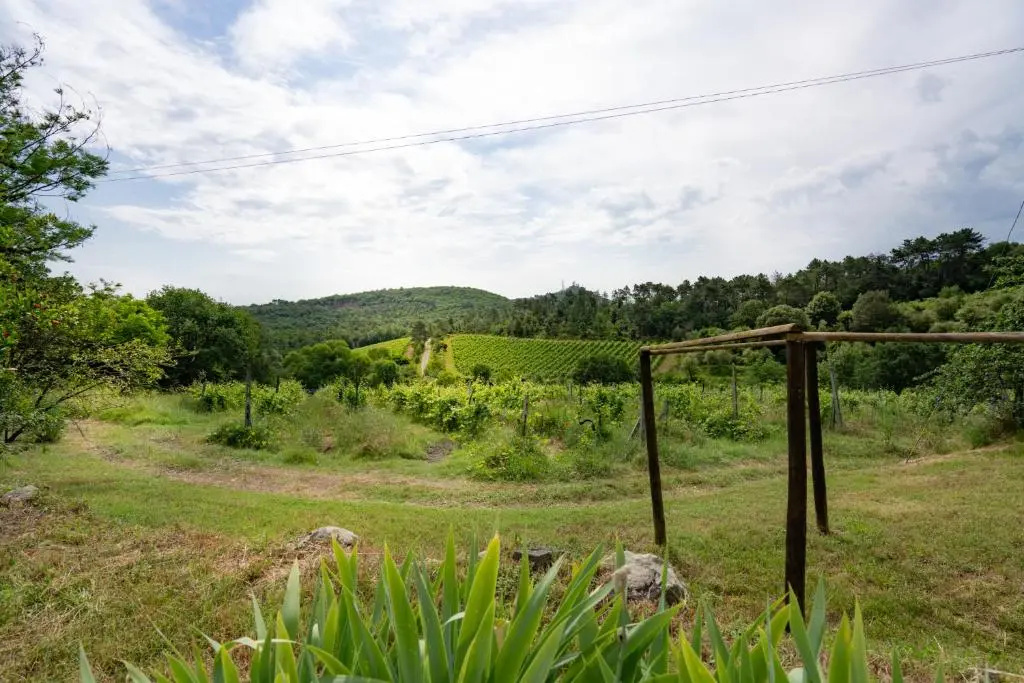 Agriturismo Fattoria Di Gratena