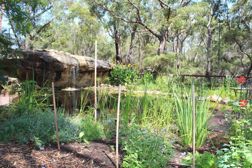 Image 35