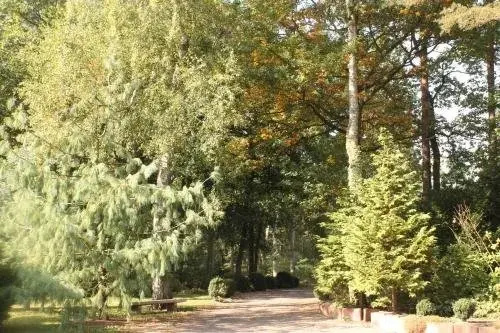 Waldschlösschen