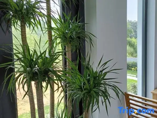 Moganshan and Water Hot Spring Holiday Beauty Villa