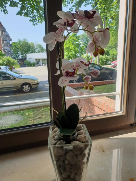 Appartement Hilbersdorf