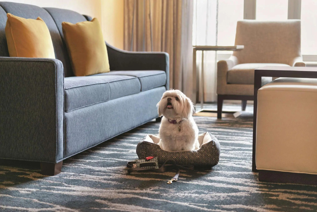 Homewood Suites by Hilton Seattle Convention Center Pike Street - Chambres