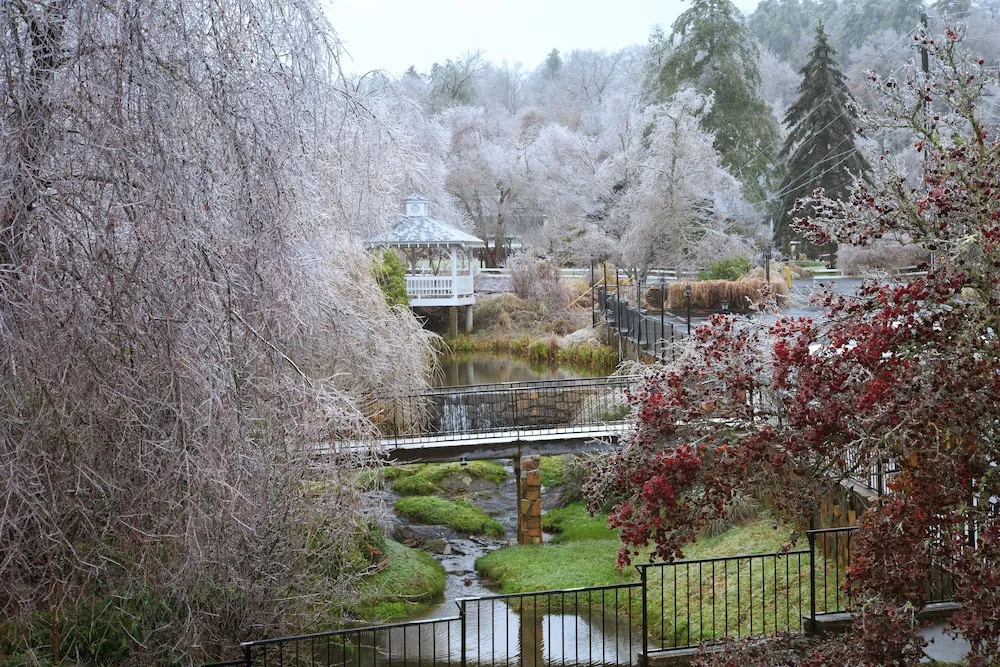 Meadowbrook Inn & Suites
