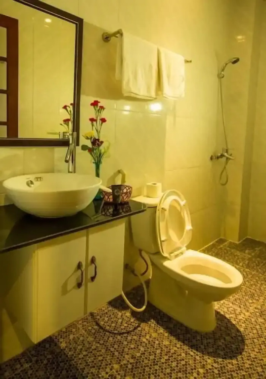 Deluxe Double room (twin beds)