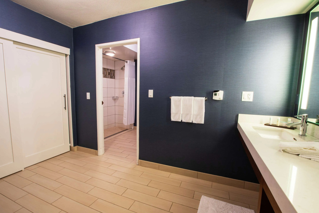 Embassy Suites by Hilton Scottsdale Resort - Général