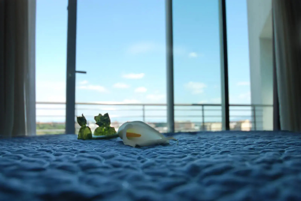 Hotel photo 32