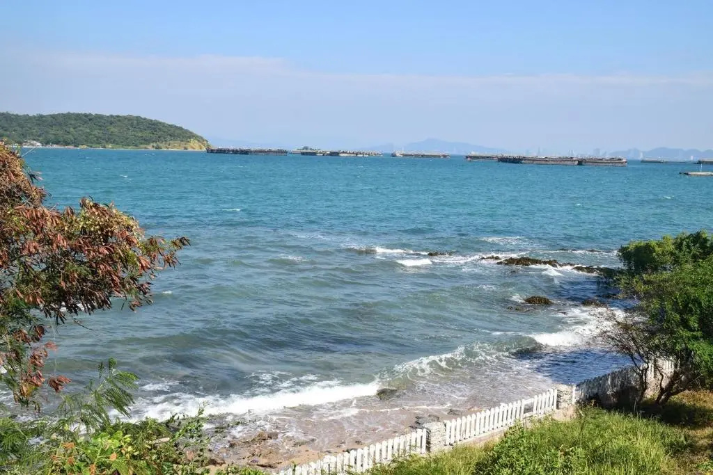 Beach & Waterfront
