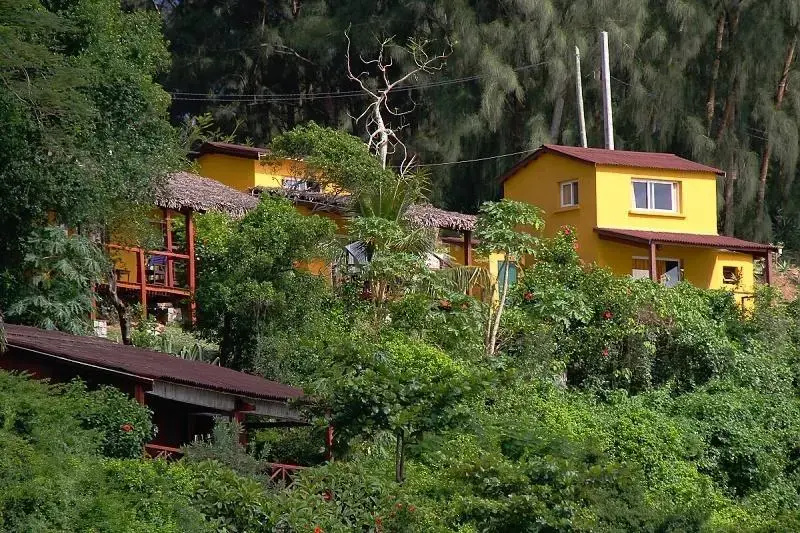 Lavasoa