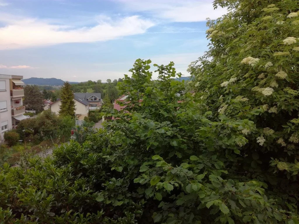 Alte Schreinerei-Auberge Harlekin - Général