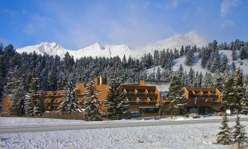 Forest Park Hotel - Général
