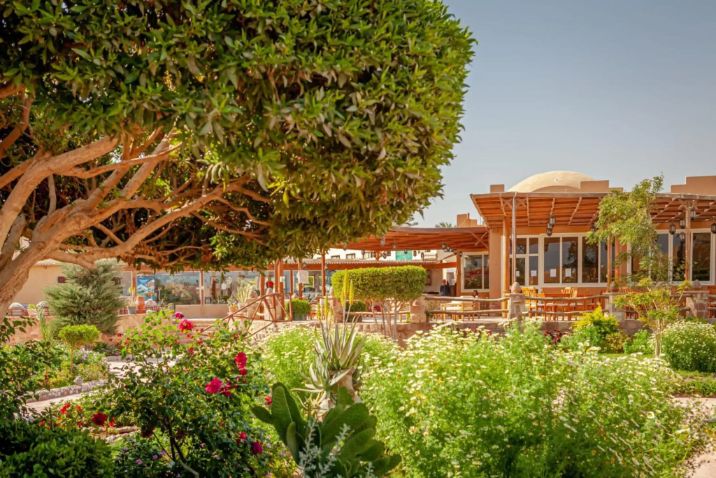 Silver Beach Boutique Hotel - фото 24