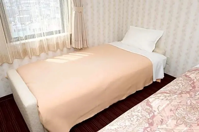Standard Double room twin beds