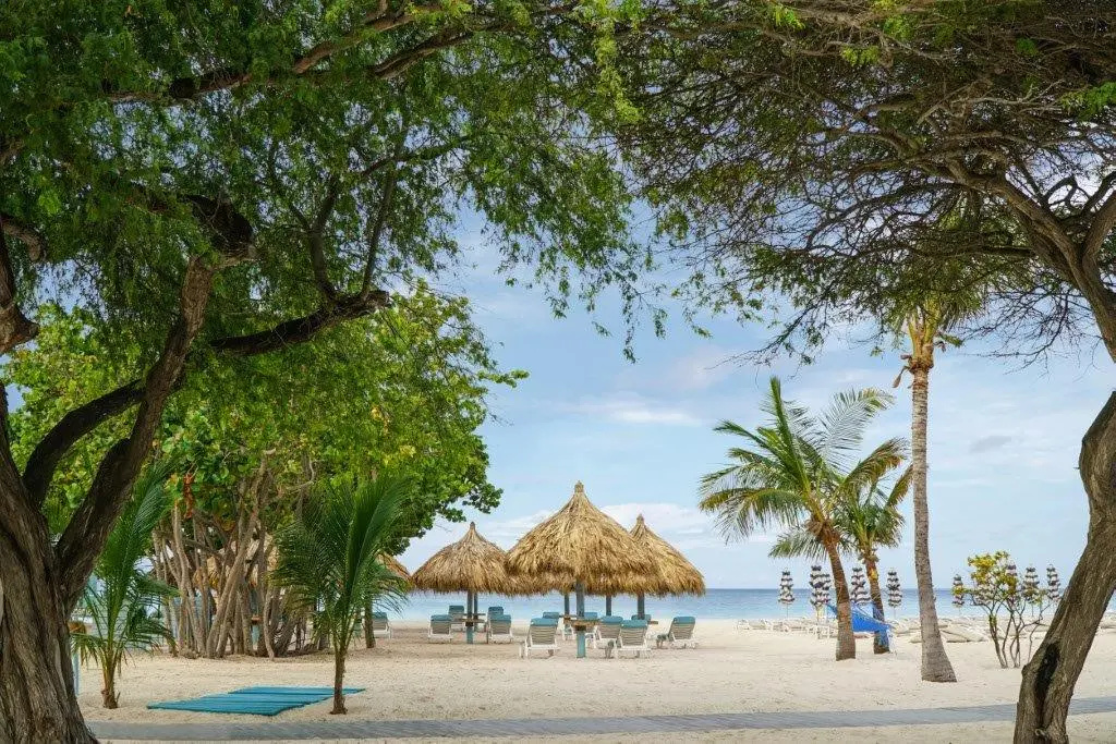 Beach & Waterfront