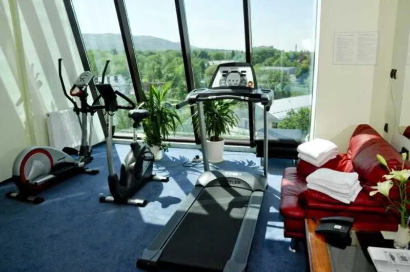 Park Hotel Diament Bielsko-Biała - Général