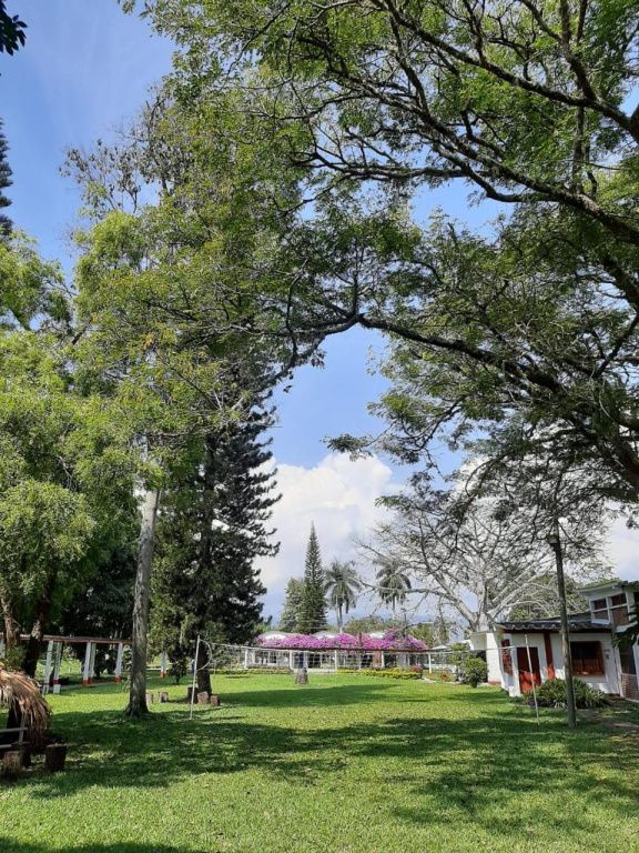 Hotel photo 32