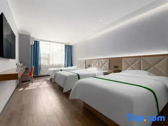 GreenTree Inn Tianjin Beiyang Bridge Business Hotel - Chambres