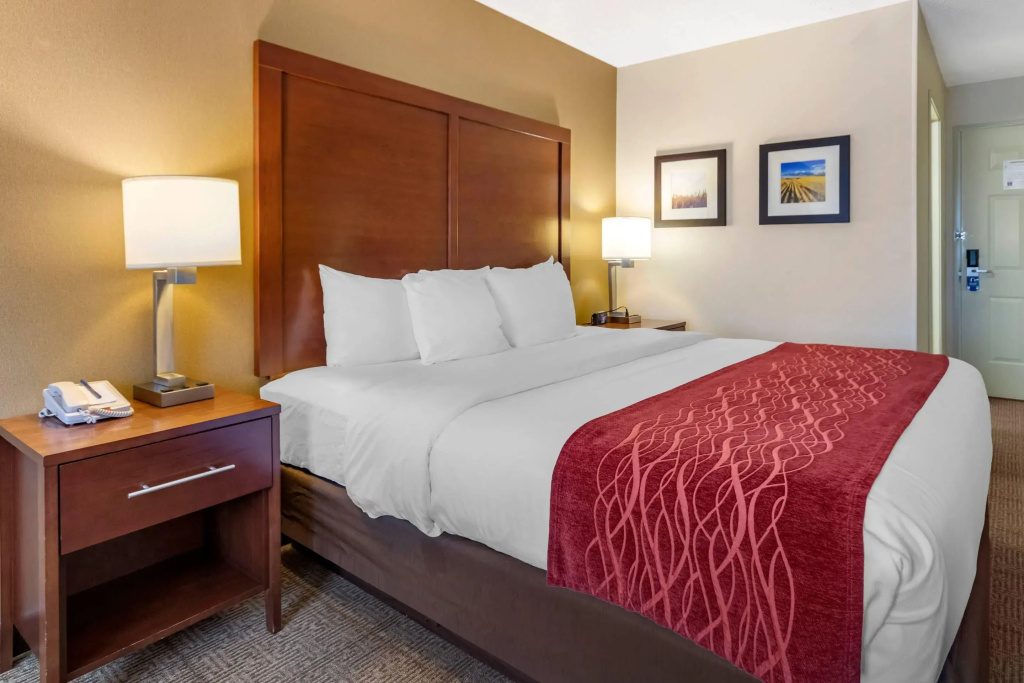 Comfort Inn Great Falls South - Général