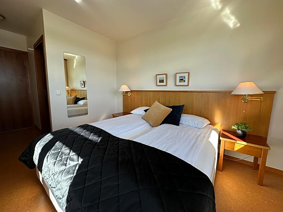 Standard Double room (full double bed)