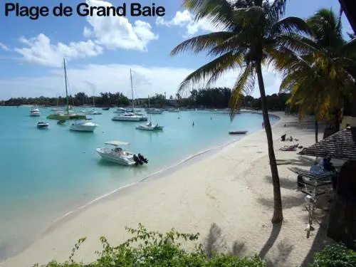 Beach & Waterfront