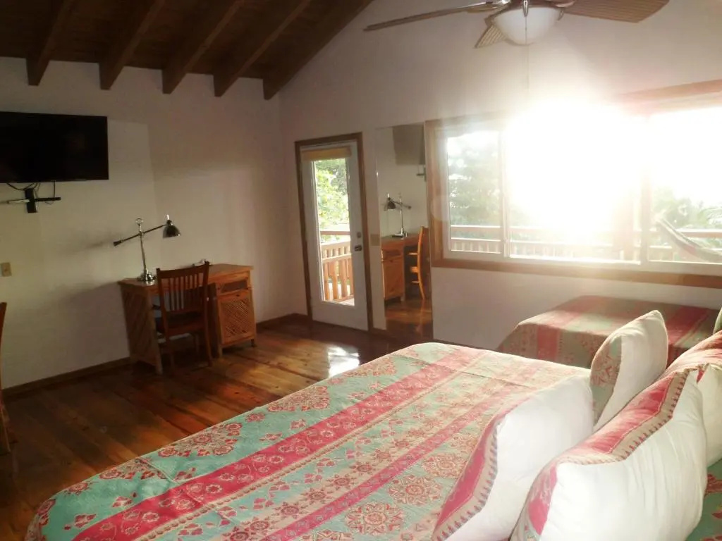 Deluxe Studio