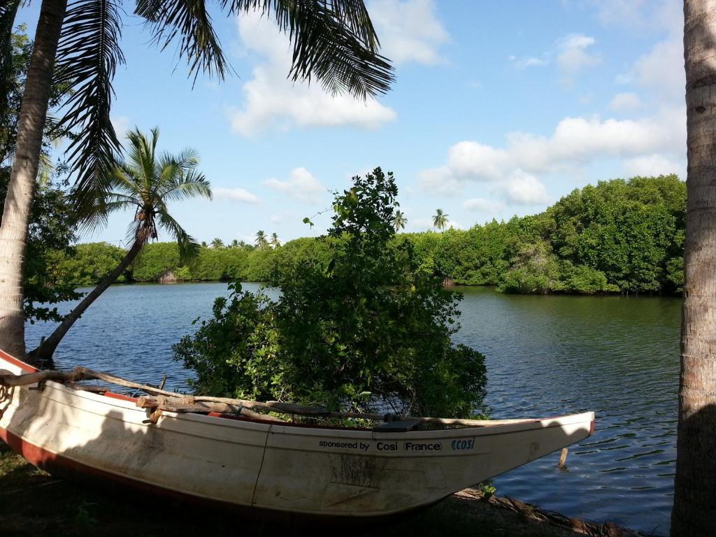 Coconut Island