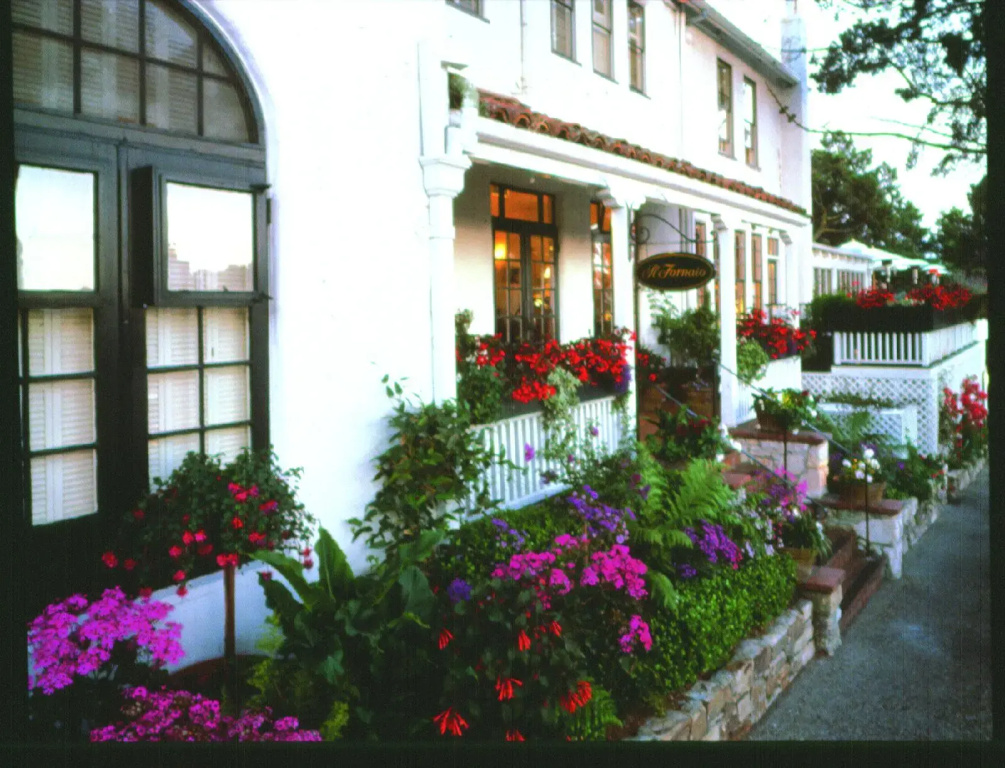 Pine Inn - Général