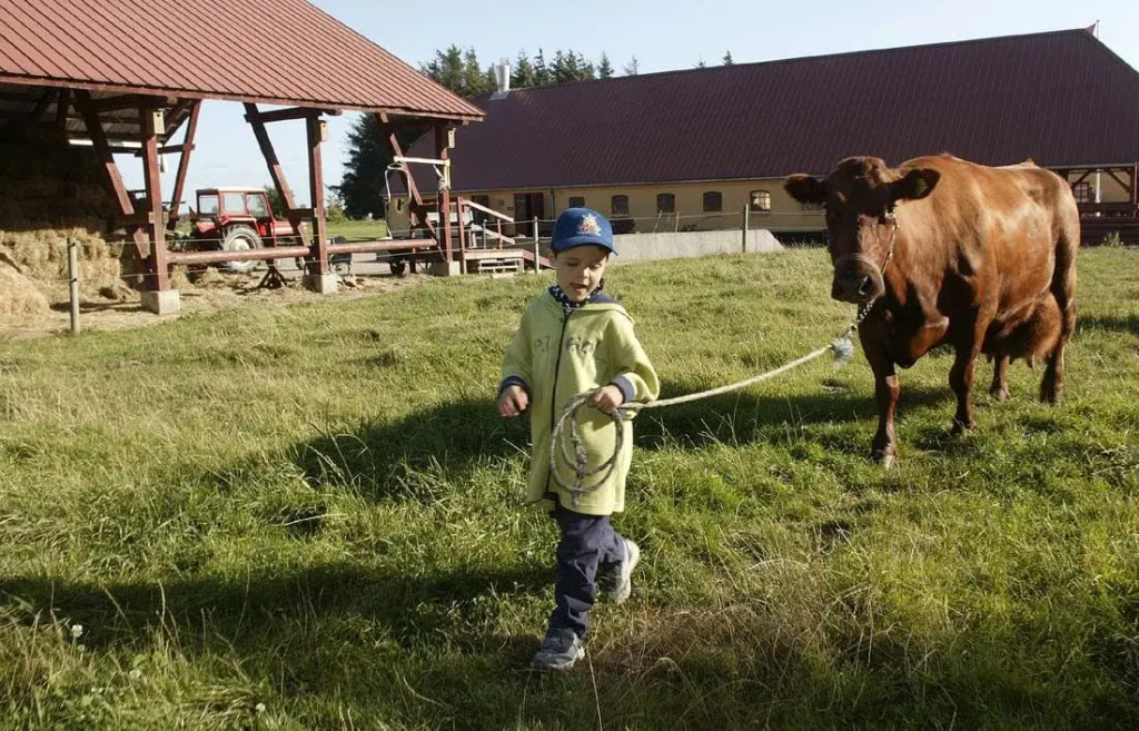 Skallerup Seaside Resort - фото 44