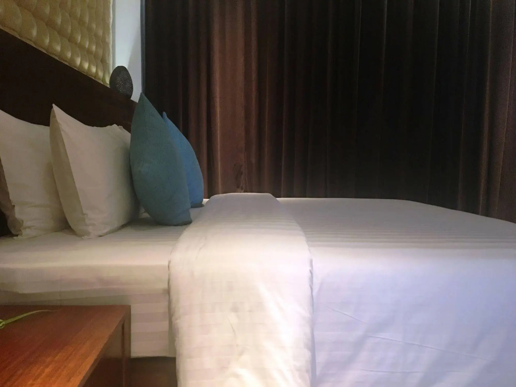 暹粒克罗尼卡酒店(Chronicle Residence & Spa Siem Reap) - Général