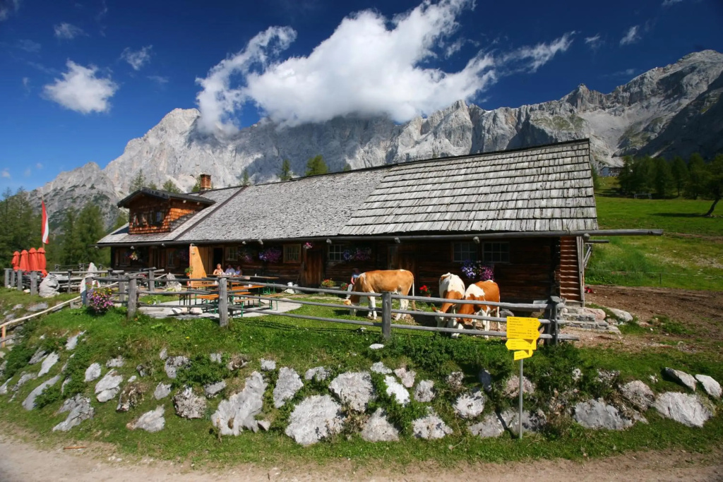 Appartement Enns By Schladmingurlaub