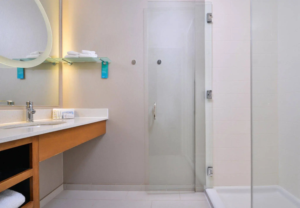 SpringHill Suites by Marriott Ashburn Dulles North - Général