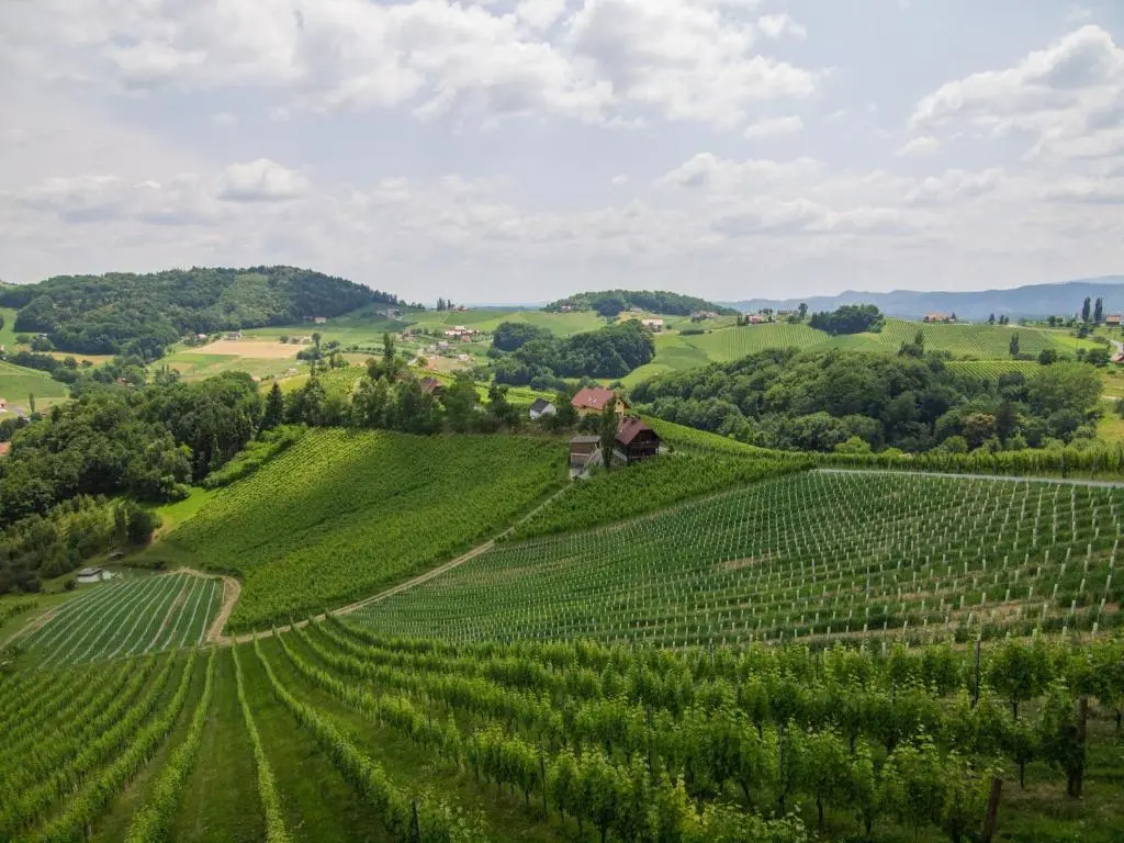 Weingut Maitz - Général