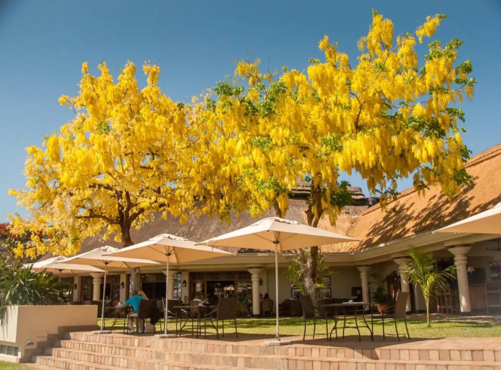 Ilala Lodge Hotel - Général