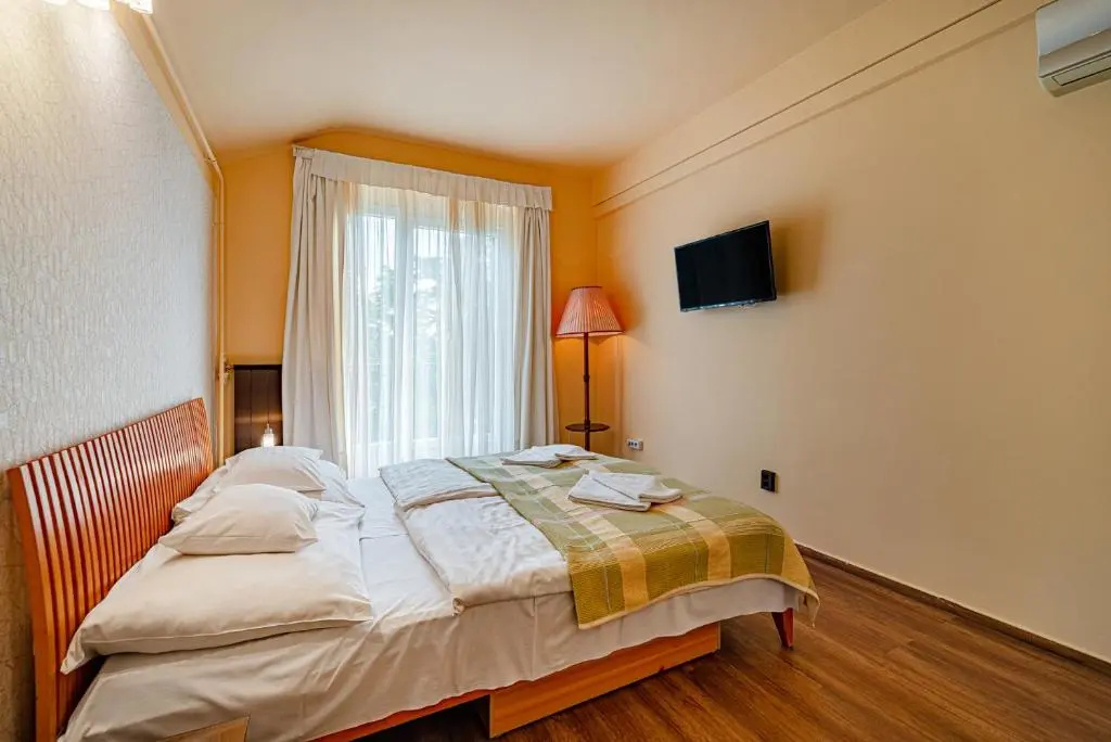 Standard Double room with balcony and with mountain view (full double bed)