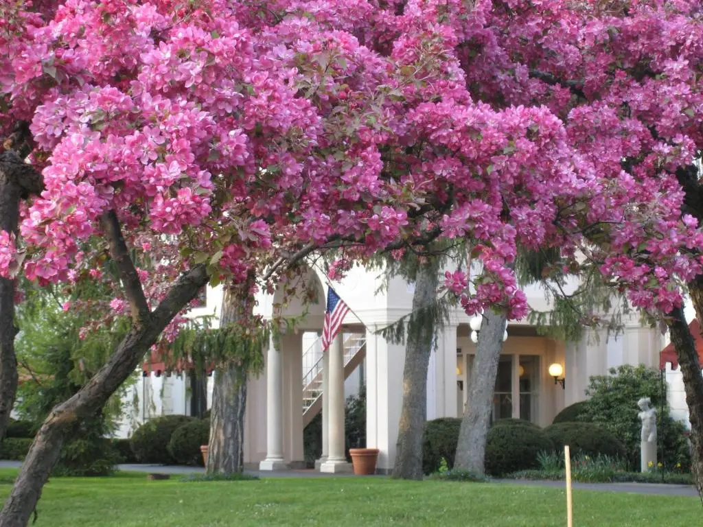Geneva On The Lake - Général