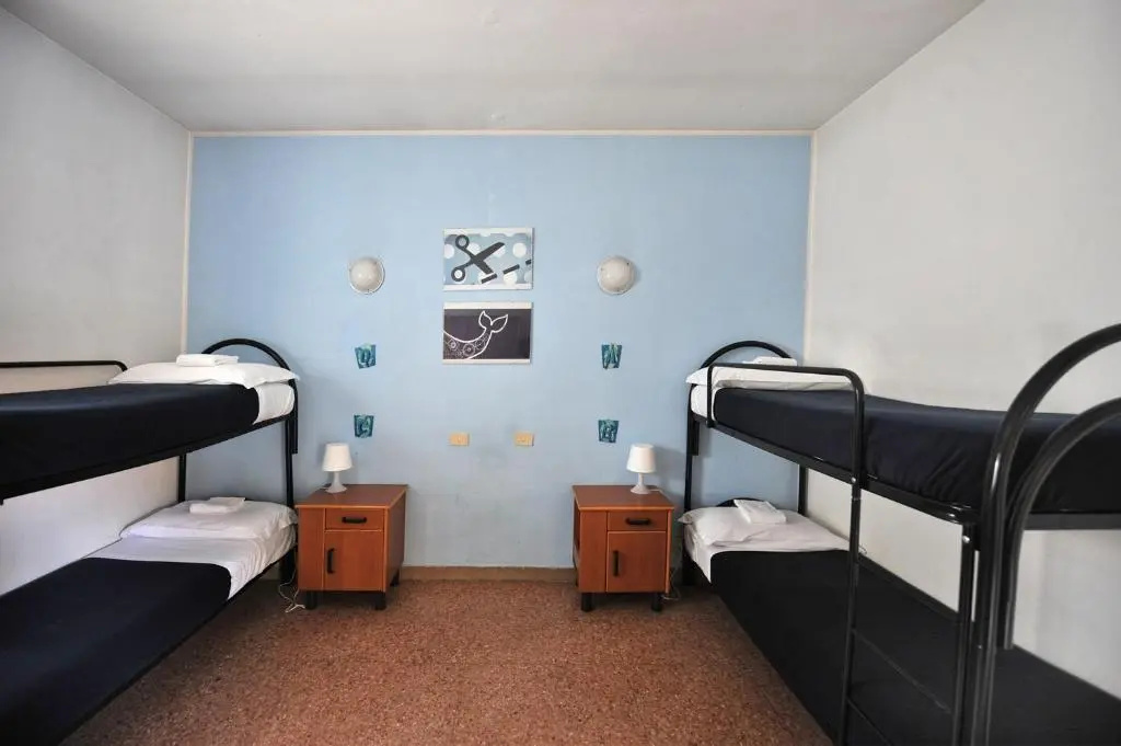 Bed in Dorm