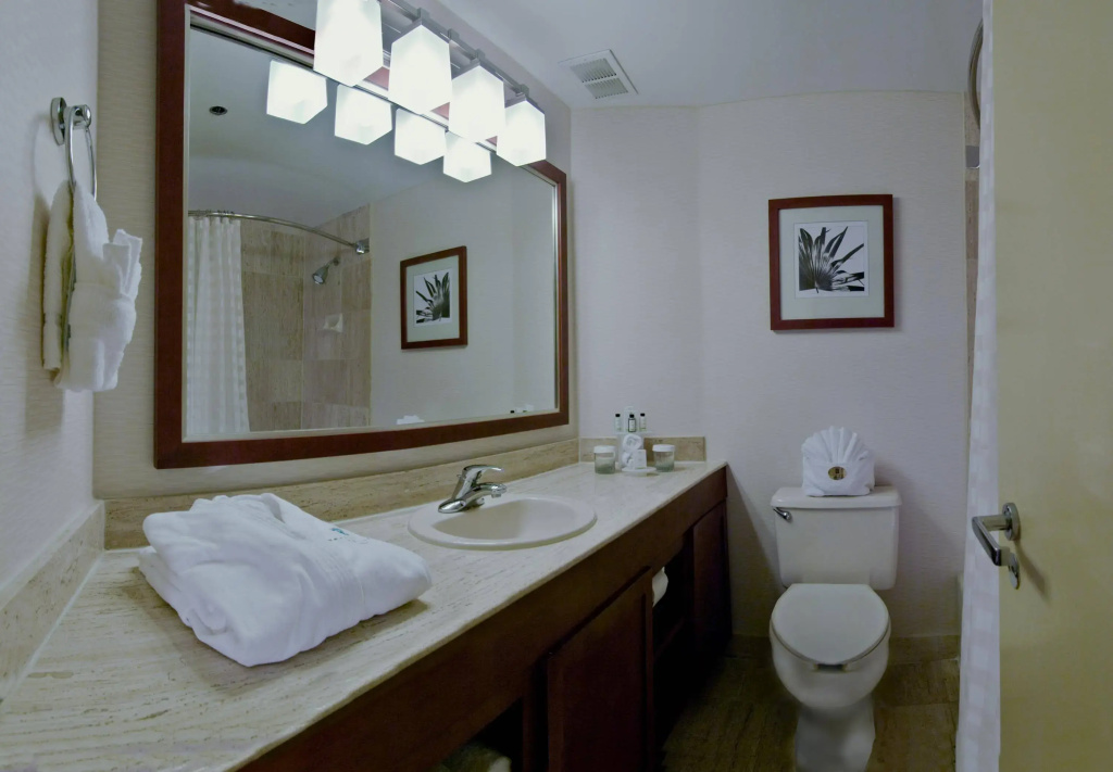 Embassy Suites by Hilton San Antonio Airport - Général