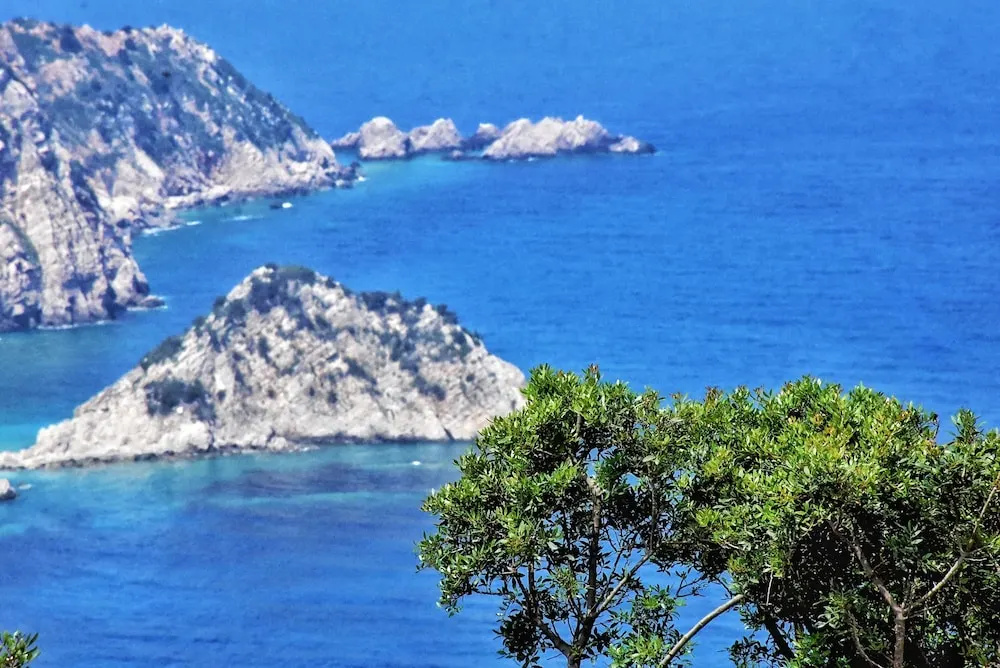 Petani Bay Hotel - Adults Only - Chambres