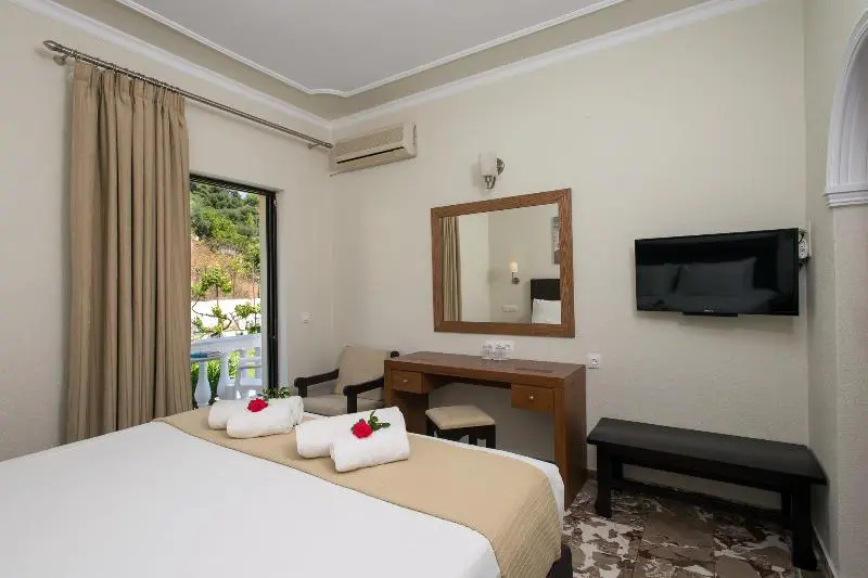 Standard Double room with mountain view (full double bed)